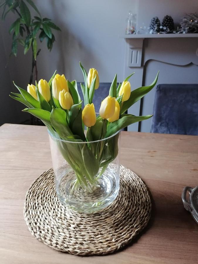 Petit Bonheur Villa Oudenaarde Bagian luar foto