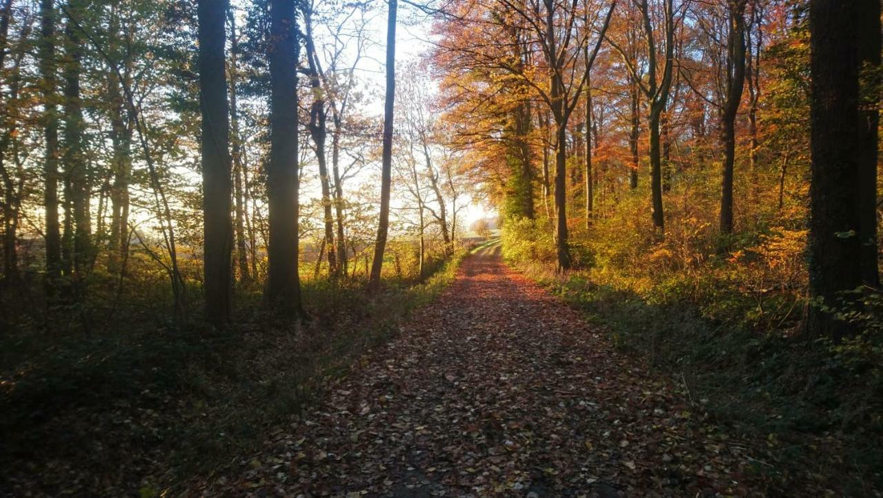 Petit Bonheur Villa Oudenaarde Bagian luar foto